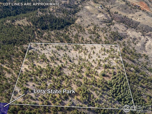 9316 Tawny Lynx Road, Loveland, CO 80538