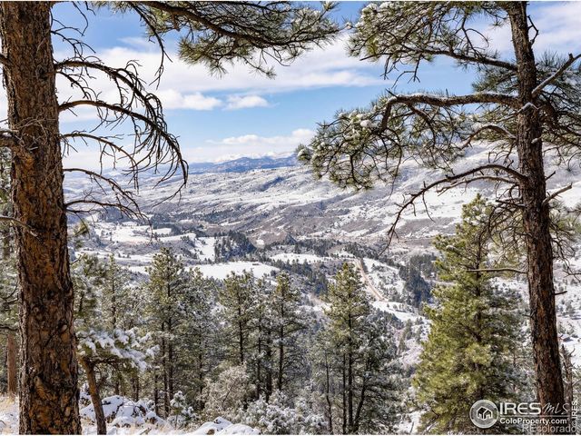 9316 Tawny Lynx Road, Loveland, CO 80538