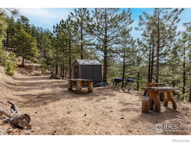 9316 Tawny Lynx Road, Loveland, CO 80538