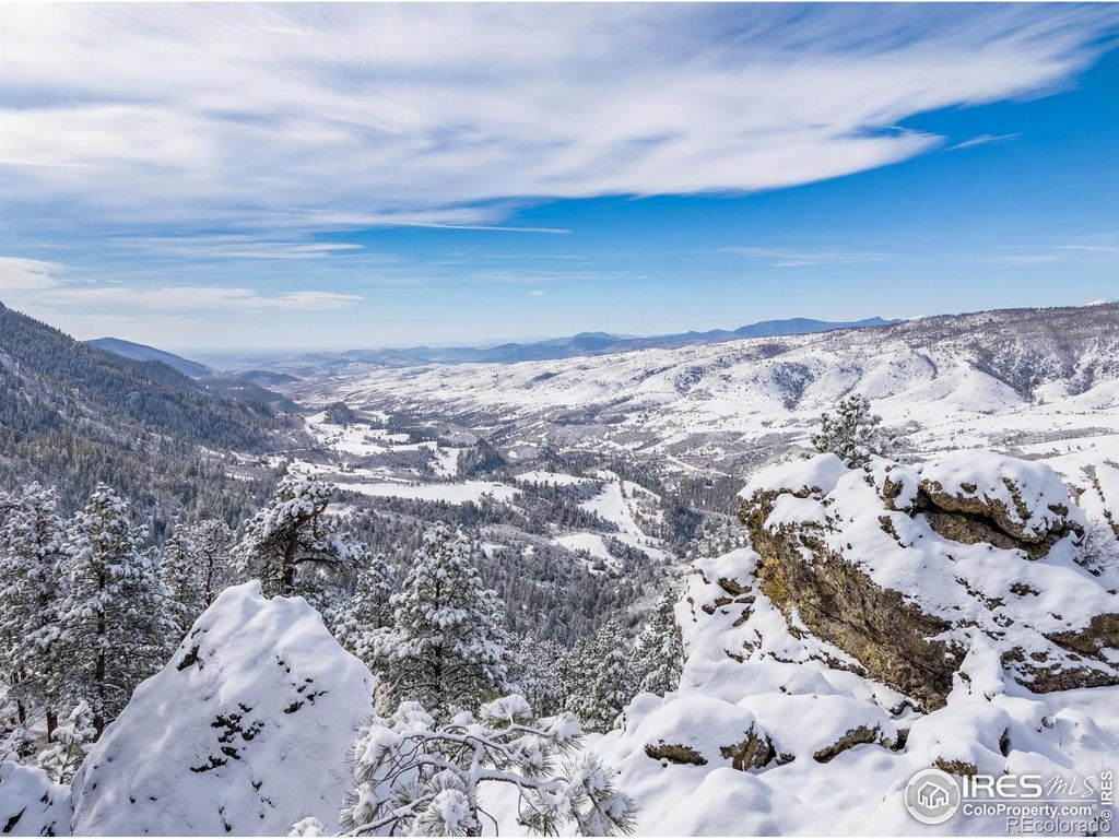 9316 Tawny Lynx Road, Loveland, CO 80538