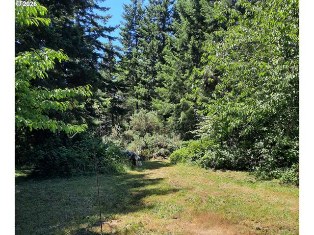57490 RANDOLPH Rd, Bandon, OR 97411