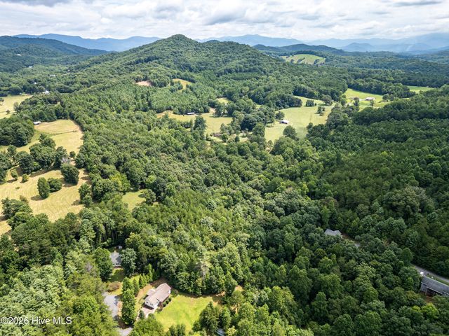90 Copperhill Church Lane, Warne, NC 28909