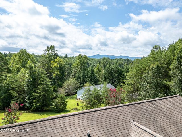 90 Copperhill Church Lane, Warne, NC 28909