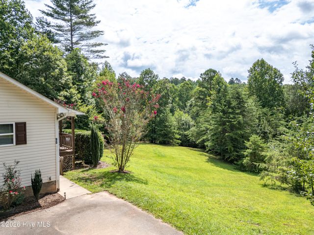 90 Copperhill Church Lane, Warne, NC 28909