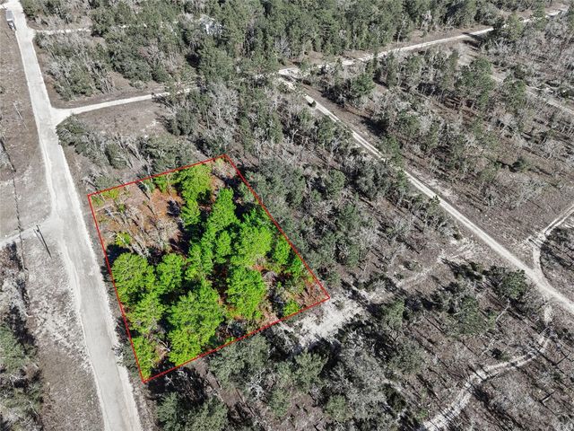 00 NE 150TH AVE, Williston, FL 32696