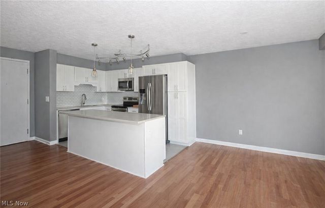 12520 Edgewater Drive 809, Lakewood, OH 44107