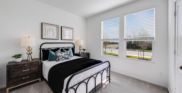 226 Draper Shadows Drive, Willis, TX 77378