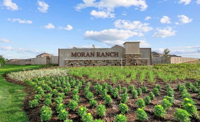 226 Draper Shadows Drive, Willis, TX 77378