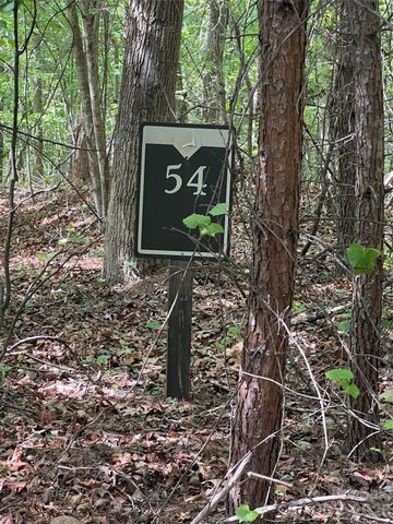 54 Perennial Drive 54, Nebo, NC 28761