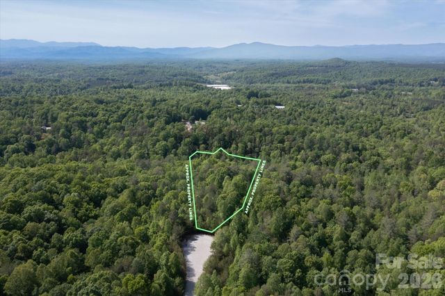 54 Perennial Drive 54, Nebo, NC 28761