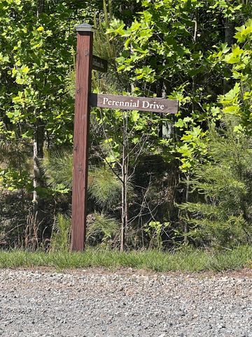 54 Perennial Drive 54, Nebo, NC 28761