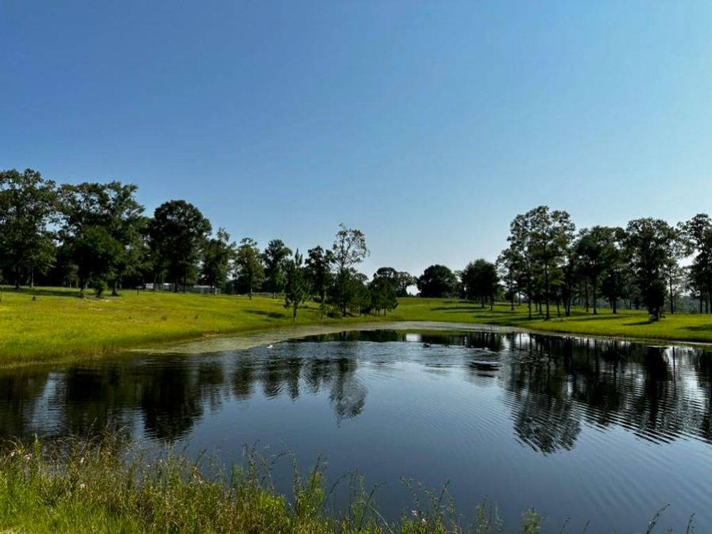 11700 Earl Booth Road, Citronelle, AL 36522 — exterior
