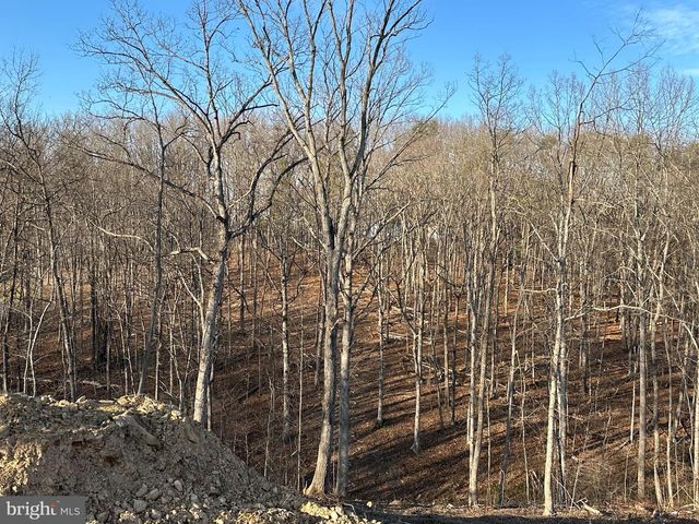 LOT 15A STRASBURG RD, Front Royal, VA 22630