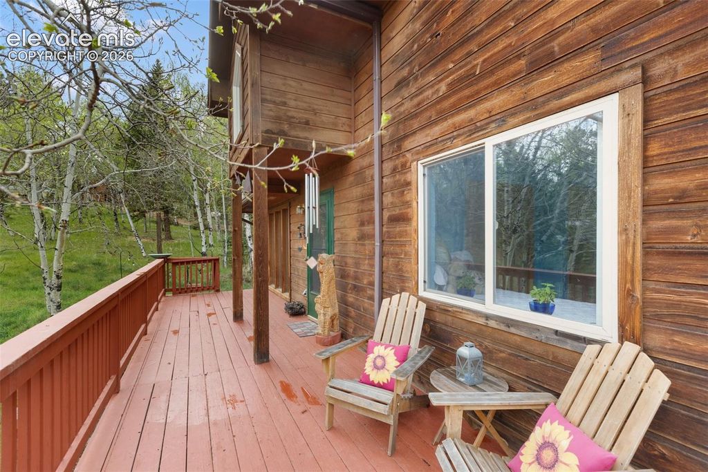 996 Spring Valley Drive, Divide, CO 80814 — photo 3