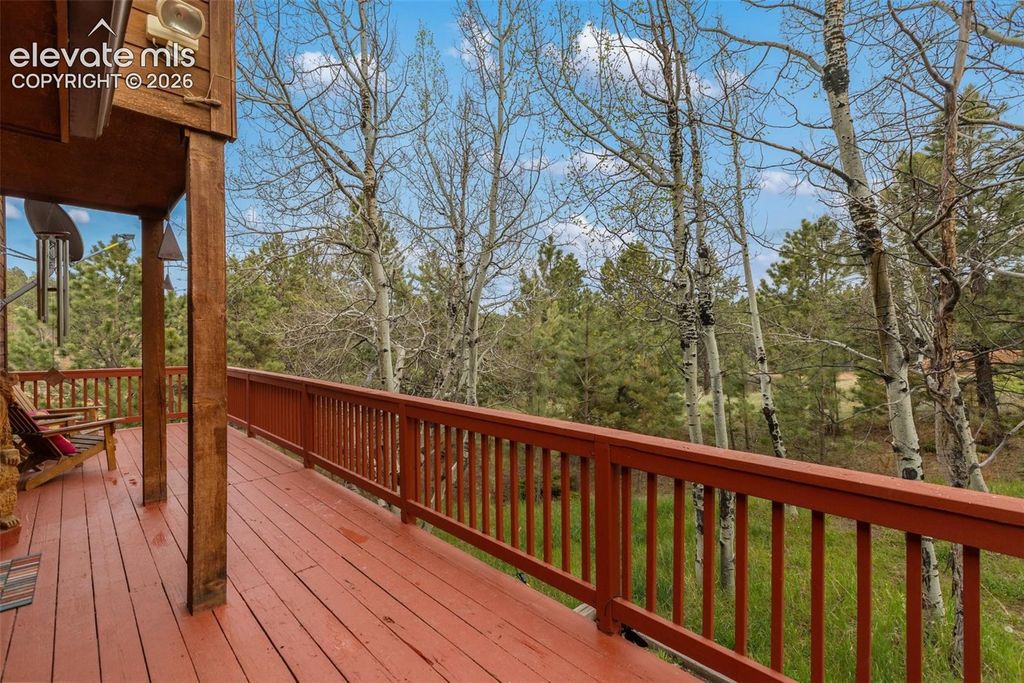 996 Spring Valley Drive, Divide, CO 80814 — photo 4