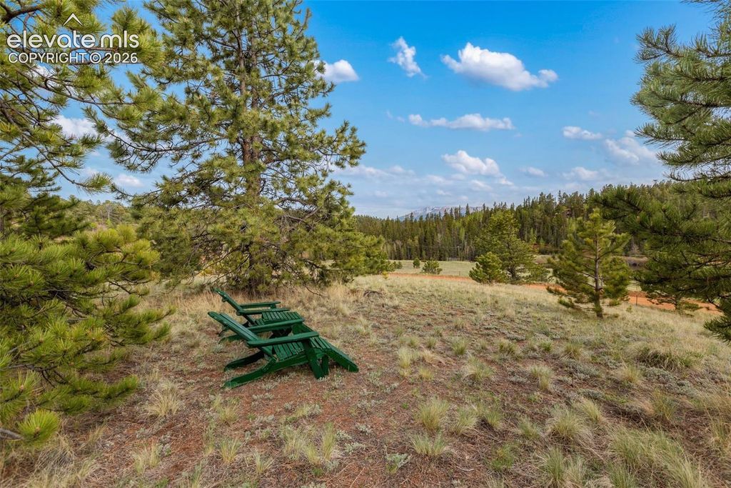 996 Spring Valley Drive, Divide, CO 80814 — photo 5