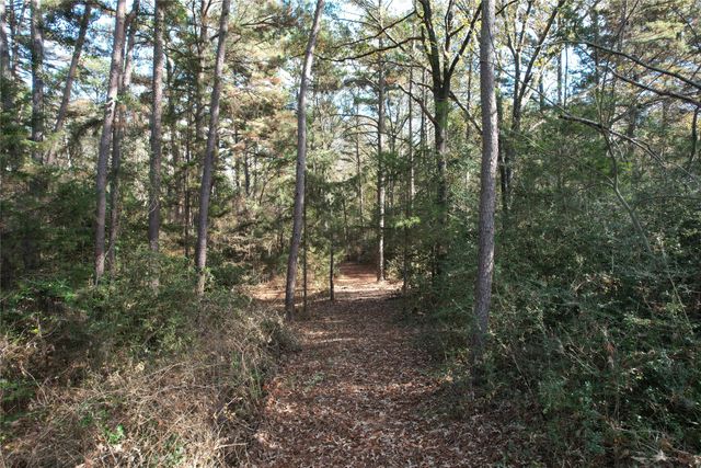 9292 FM 1002, Big Sandy, TX 85755