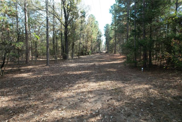 9292 FM 1002, Big Sandy, TX 85755