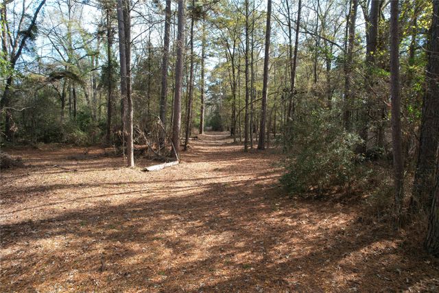 9292 FM 1002, Big Sandy, TX 85755