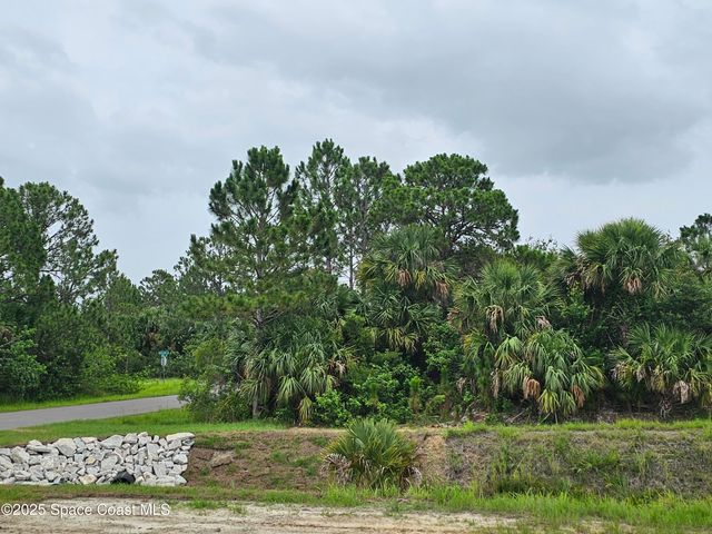 3317 Fitzpatrick Avenue SW, Palm Bay, FL 32908