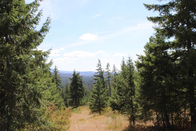 xxx Ellery Ranch Rd, Elk, WA 99009