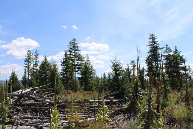 xxx Ellery Ranch Rd, Elk, WA 99009