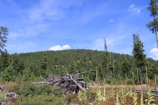 xxx Ellery Ranch Rd, Elk, WA 99009