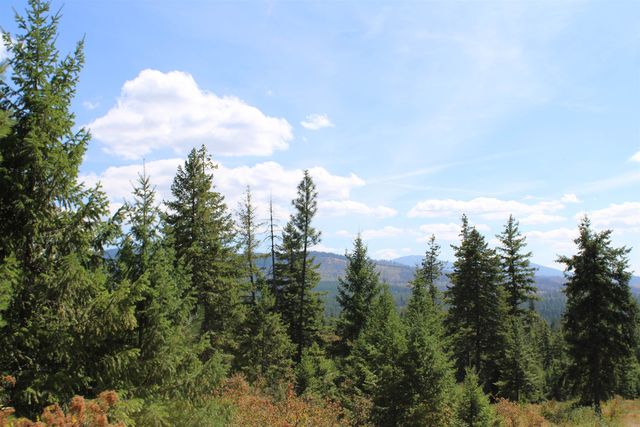 xxx Ellery Ranch Rd, Elk, WA 99009