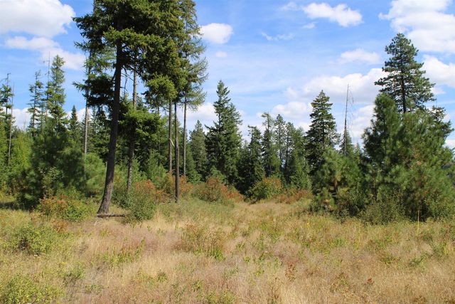 xxx Ellery Ranch Rd, Elk, WA 99009