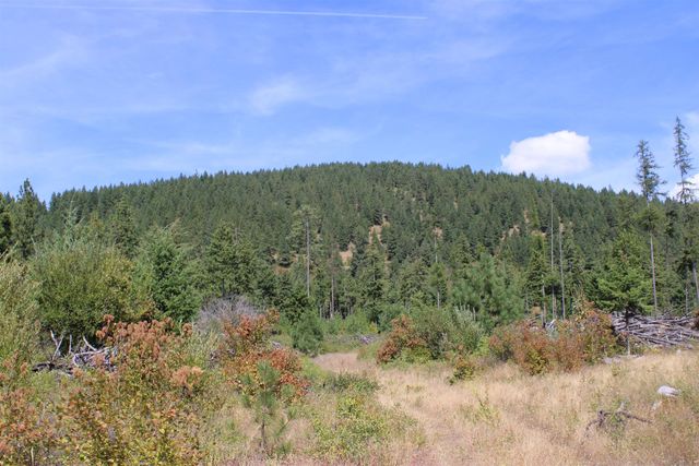 xxx Ellery Ranch Rd, Elk, WA 99009