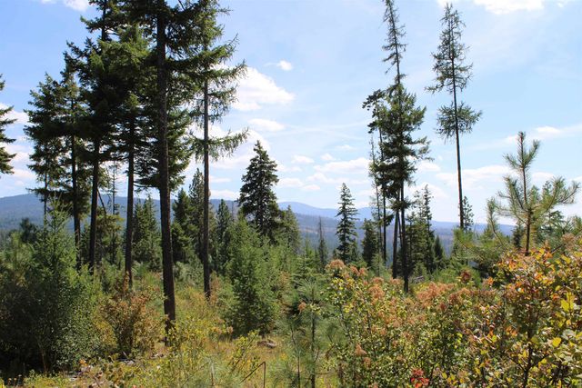 xxx Ellery Ranch Rd, Elk, WA 99009