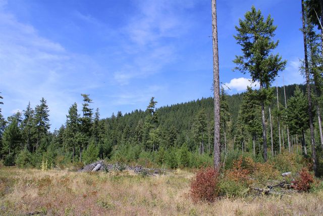 xxx Ellery Ranch Rd, Elk, WA 99009