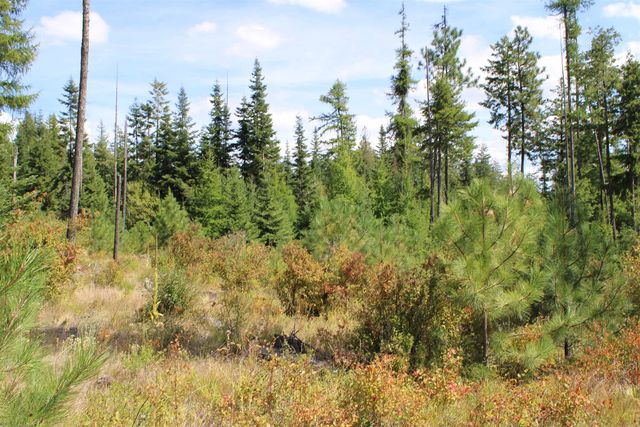 xxx Ellery Ranch Rd, Elk, WA 99009