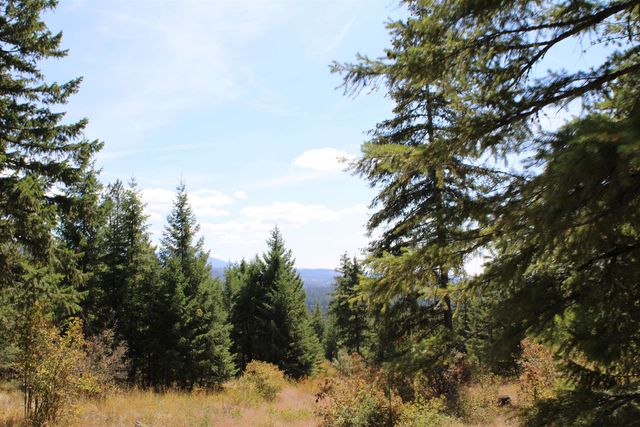 xxx Ellery Ranch Rd, Elk, WA 99009