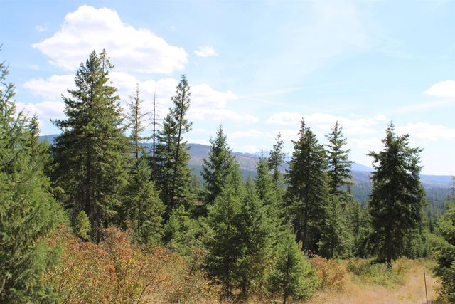 xxx Ellery Ranch Rd, Elk, WA 99009