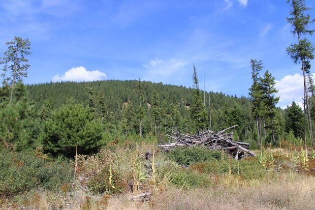 xxx Ellery Ranch Rd, Elk, WA 99009