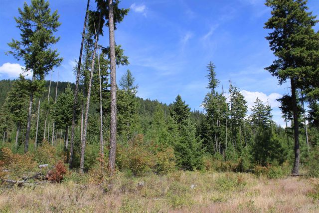 xxx Ellery Ranch Rd, Elk, WA 99009