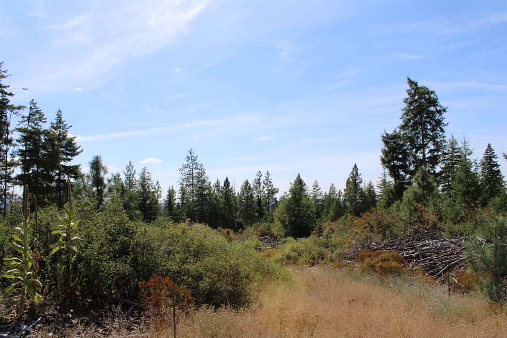 xxx Ellery Ranch Rd, Elk, WA 99009