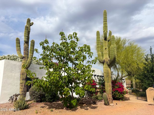 23405 N 84TH Street, Scottsdale, AZ 85255