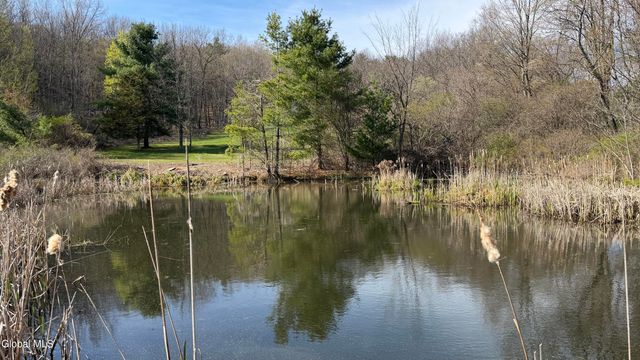 31 Sterup Drive, Pittstown, NY 12180