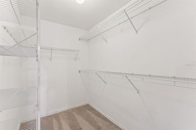 14217 GOODINGS LANE, Clermont, FL 34711