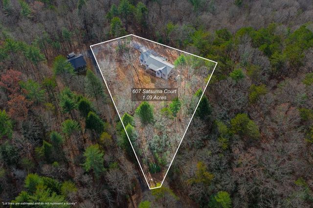 607 Satsuma Court S, Ellijay, GA 30536