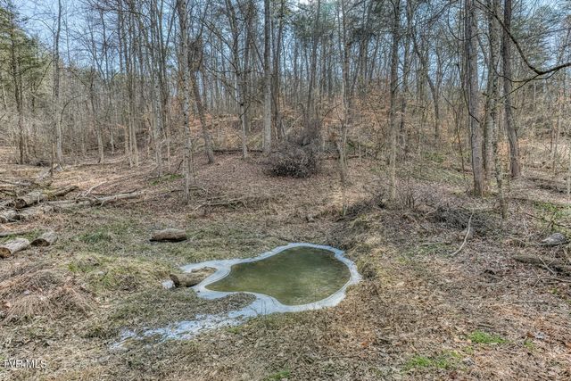 193 & 195 North Fork Branch Road, Rogersville, TN 37857