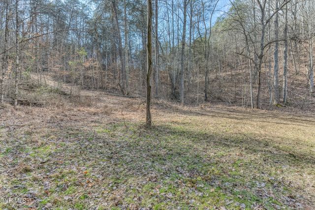 193 & 195 North Fork Branch Road, Rogersville, TN 37857