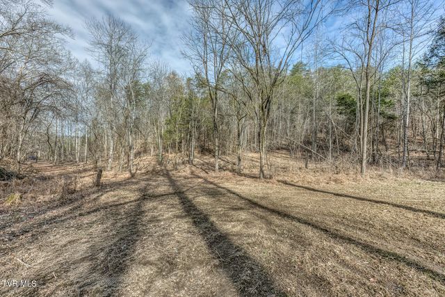 193 & 195 North Fork Branch Road, Rogersville, TN 37857