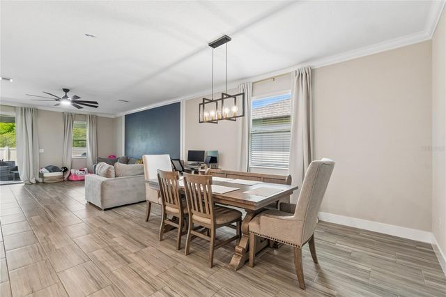 9911 CAMPANULA COURT, Land O Lakes, FL 34637