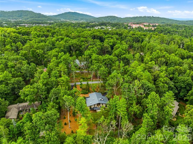 3 Holly Hill Road, Biltmore Forest, NC 28803