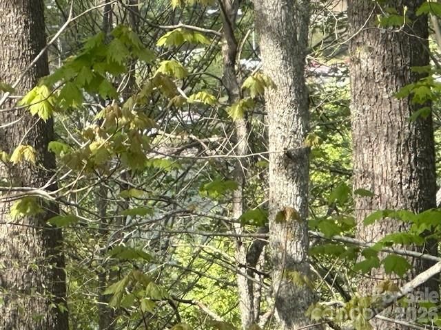 134 Mossy Ridge Road, Cullowhee, NC 28723