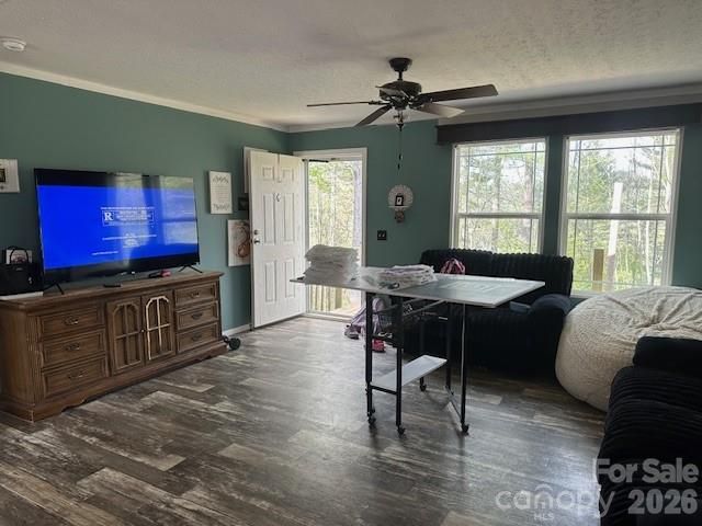 134 Mossy Ridge Road, Cullowhee, NC 28723