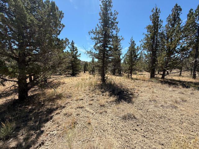10164 SE Sundown Lane, Prineville, OR 97754